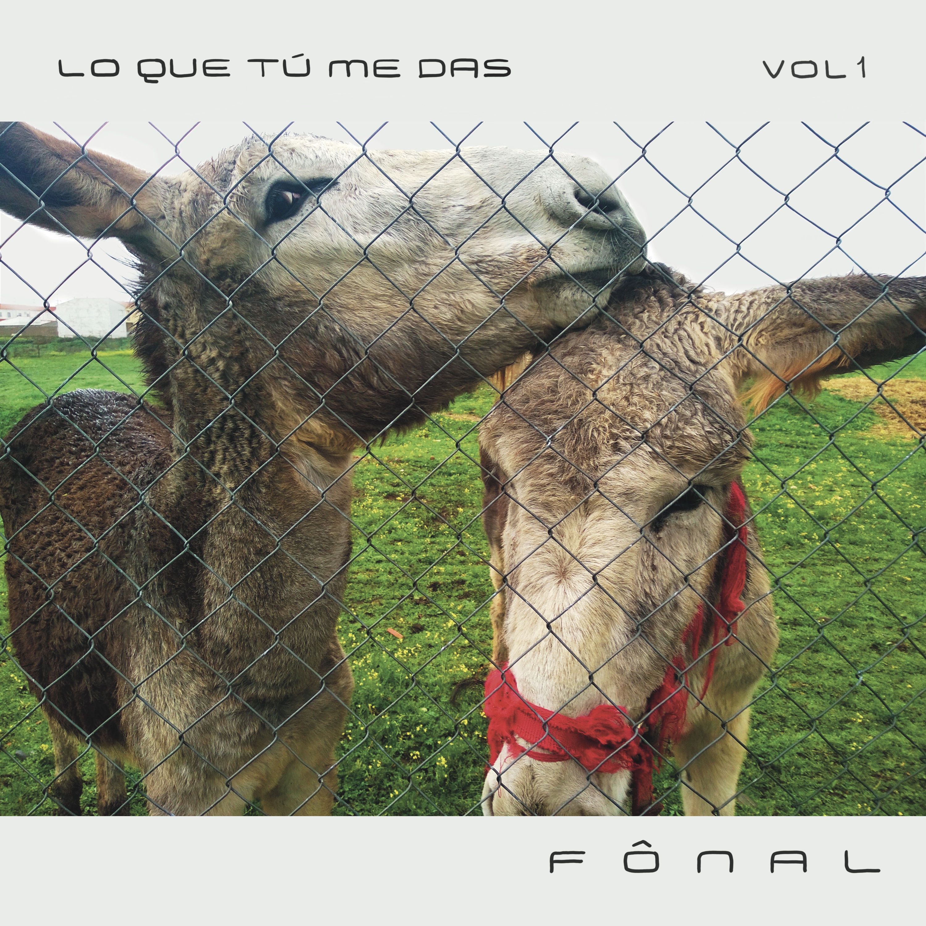 fonal